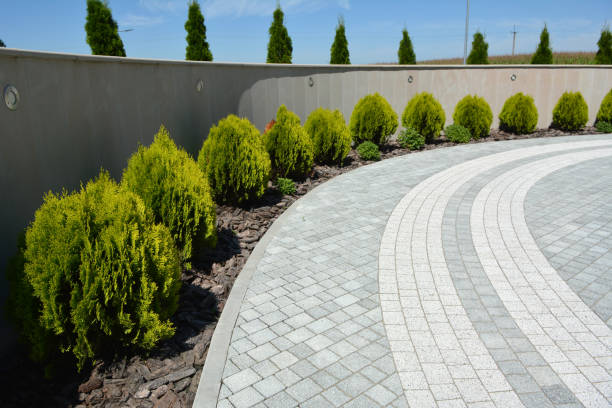 Best Driveway Pavers Cost  in Hollister, MO