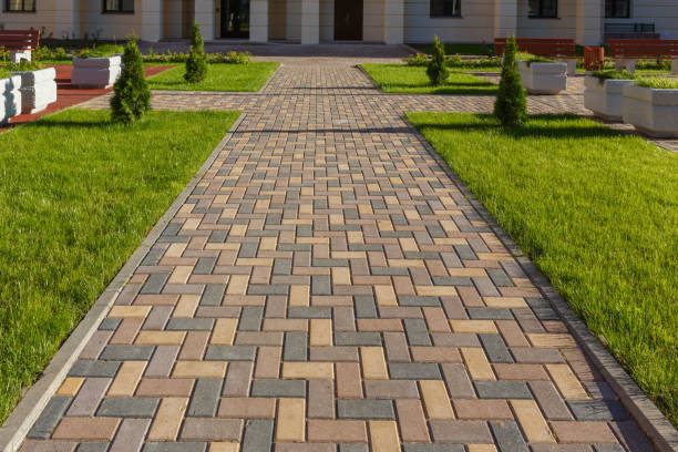 Best Residential Paver Driveway  in Hollister, MO